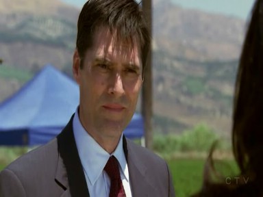 criminalmindss04e05hdtvxvid-2hd136_.jpg